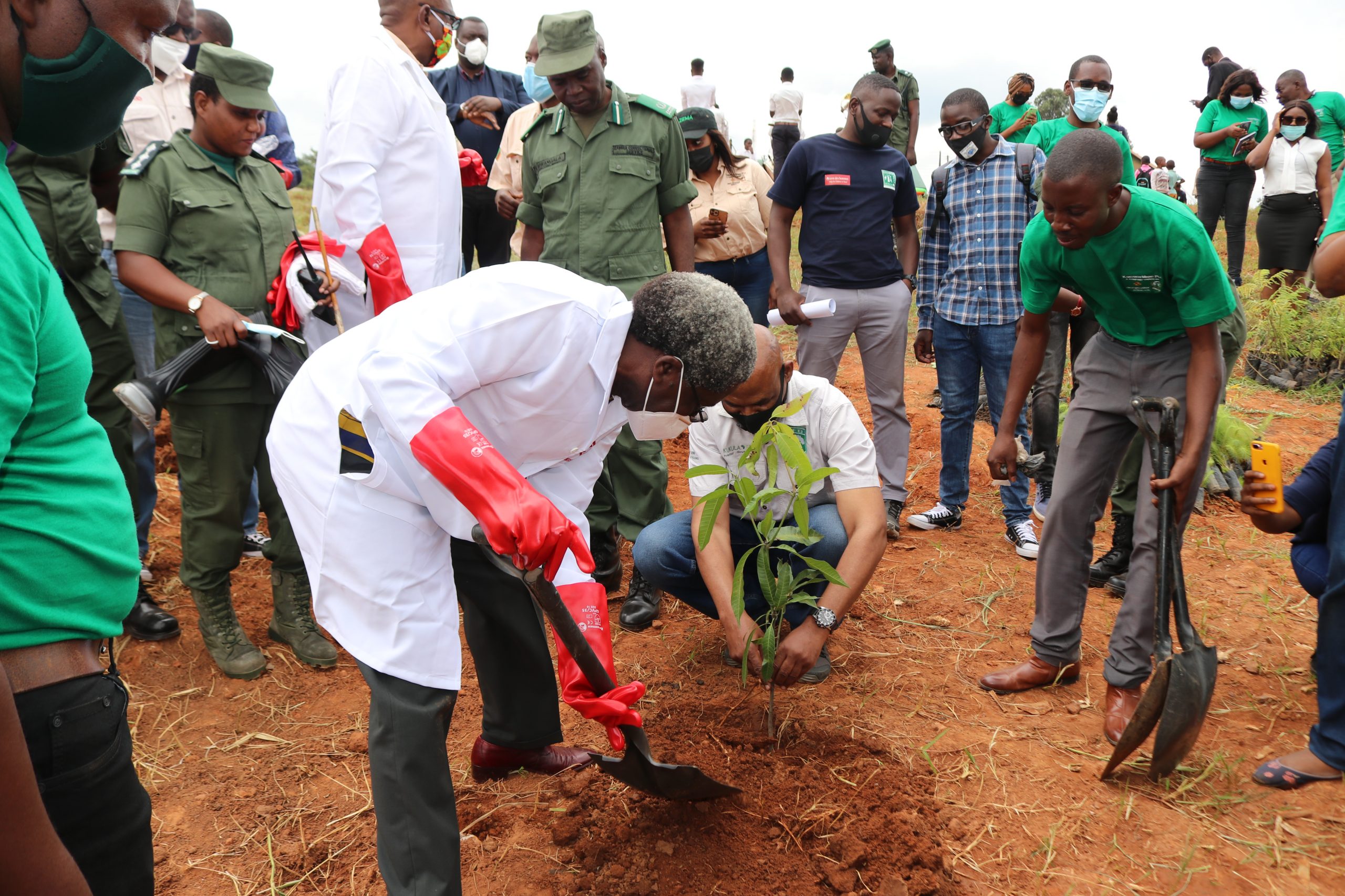 KANSANSHI MINE DONATES 500 TREES TO SOLWEZI CORRECTIONAL SERVICE