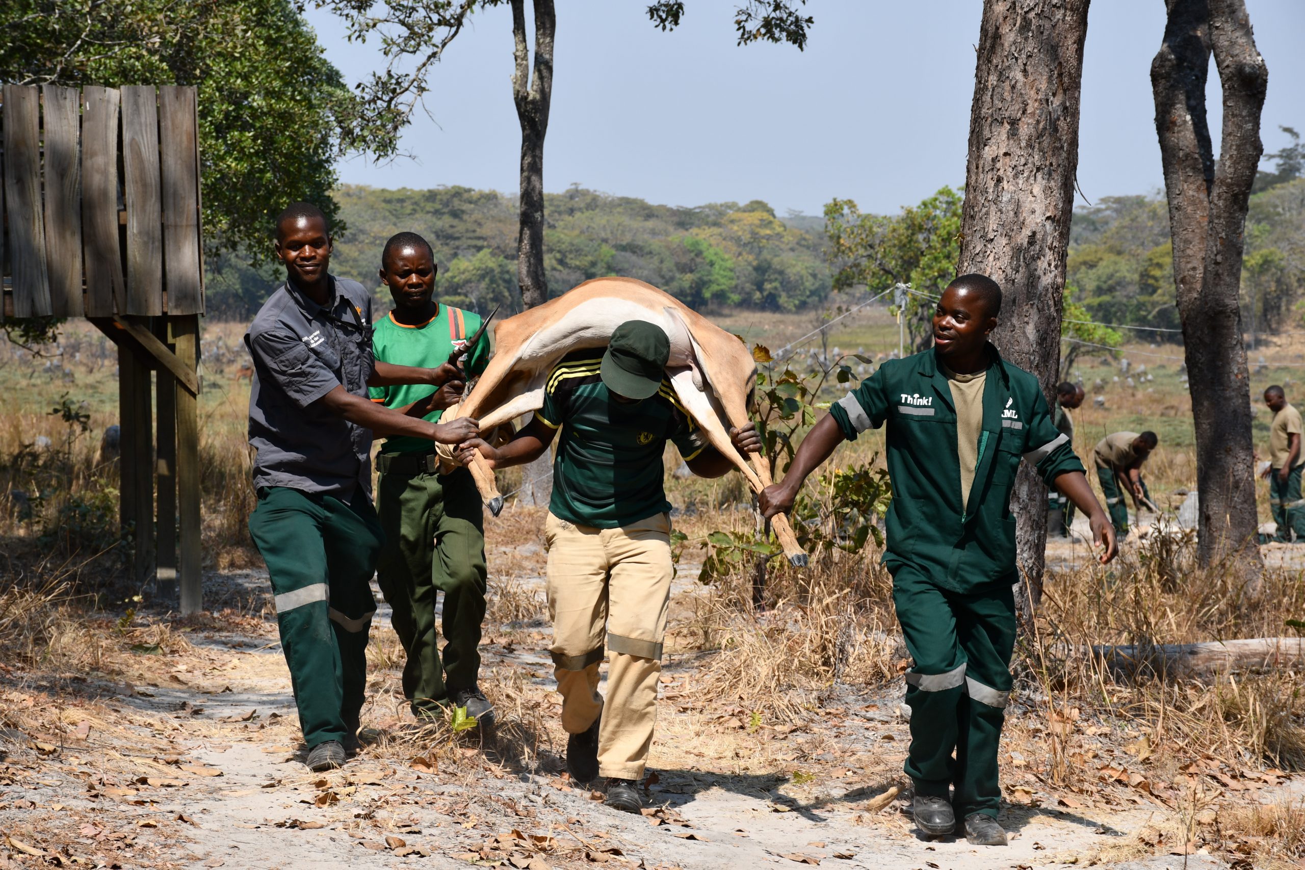 FQM TRIDENT DONATES ANIMALS TO WEST LUNGA